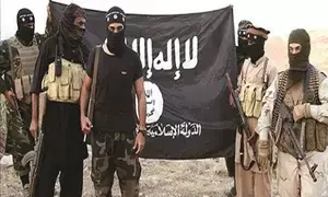 7 IS militants killed in airstrikes in Iraq