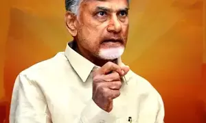 Andhra Pradesh CM deeply saddened over Telugu mans killing in US shooting