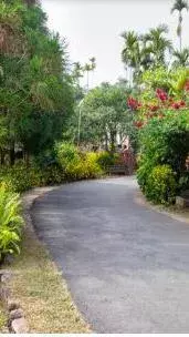 Top Ten Places to Visit in Meghalaya: The Abode of Clouds