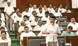 TN govt to fill over 75,000 vacancies by January 2026: CM Stalin