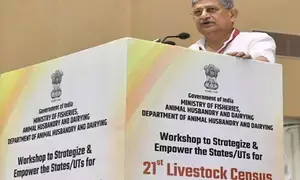 Centre sets ball rolling for states to prepare 21st Livestock Census