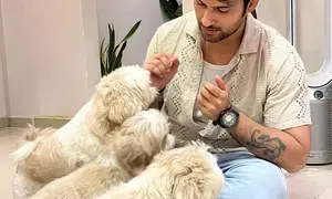 For actor Namish Taneja, his four furry babies are his ‘Mishri’ in life