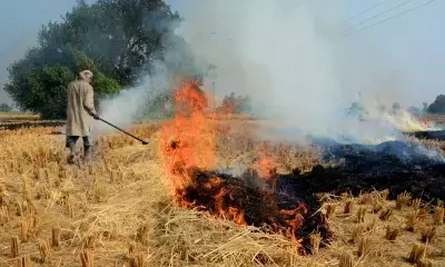 Punjab prepares Rs 500 cr action plan for crop residue management