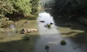 PRAWAH to inspect flow of Mhadei in Goa, Karnataka, Maharashtra from  July 4