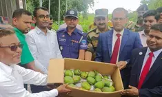 Bangladesh PM sends tasty mango, hilsa fish, rasgulla to Tripura CM