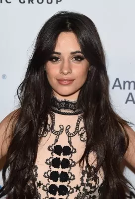 Camila Cabello didnt couple thing with Shawn Mendes to be her  complete identity