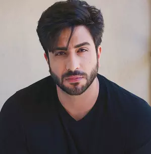 Aly Goni says audio series Secret Ameerzada provided him a chance to connect with his audience