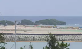 Japan: Okinawa govt, civic groups protest alleged sexual assault of minor by US airman