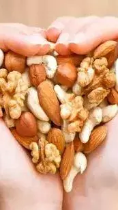 Health Benefits of Eating Nuts: A Nutrient-Packed Addition to Your Diet