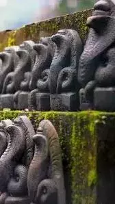 Facts About Shetpal Village: Embracing Coexistence with Snakes