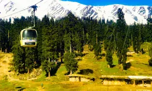 Security forces launch operation in higher reaches of J&Ks Gulmarg ski resort