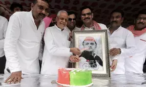 SP celebrates Akhilesh’s birthday by planting trees, holding ‘bhandaras’
