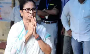 Early symptoms of shedding doles becoming evident in Bengal