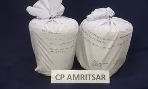 Punjab Police bust trans-border narcotic smuggling network; one arrested