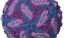 Pune Zika cases rise to 8: Centre issues advisory to states to step up vigil