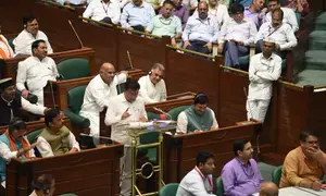 CM Yadavs plan to develop Krishna Patheya gets mention in MP Budget