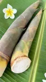 Top 12 Health Benefits of Eating Bamboo Shoots