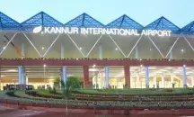 Peacock menace at Kannur airport, Kerala govt mulling solution