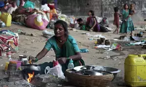 Poverty headcount ratio falls to 8.5 pc from 21 pc in last 10 years: NCAER