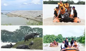 Flood situation worsens in Assam, death toll rises to 52