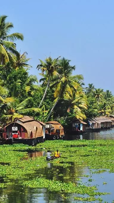 Top Ten Must-Visit Destinations in Kerala