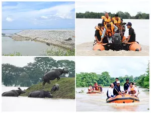 Flood situation worsens in Assam, death toll rises to 52