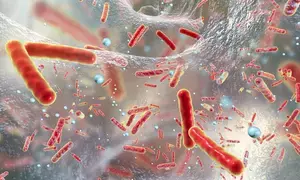Human behaviour abetted deadly bacteria to become epidemic: Study