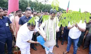 Tripura planted 5 lakh saplings in 5 minutes to increase forest cover: CM Saha