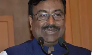 Maha govt to appoint committee on safety of Flamingos