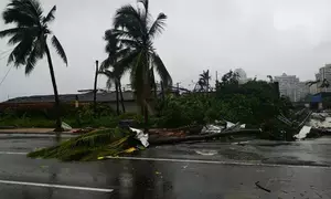 5 killed by tornadoes in China