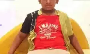 11-year-old boy succumbs to dengue fever in Bengaluru; septuagenarian dies of Zika virus