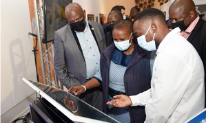 Botswana launches art exhibition to promote creative industry