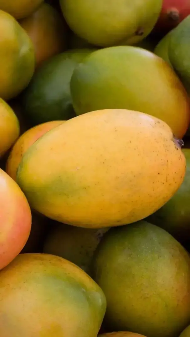 Top Ten Varieties of Mangoes in India