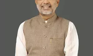 Will make Rajasthan hub of solar energy production: Energy Minister