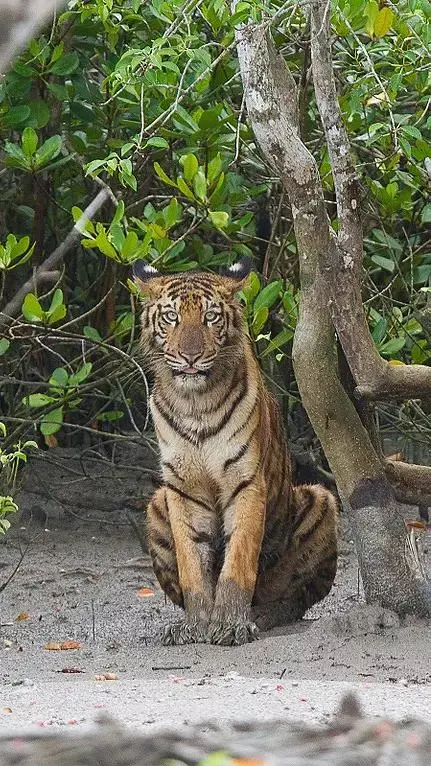 Top Ten Places to Visit in Bangladesh