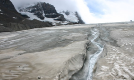 Reduction in black carbon level in Varanasi since 12: BHU study