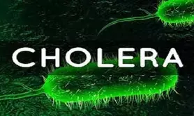 10-year-old tests positive for cholera in Keralas orphanage