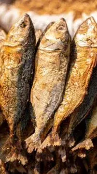 10 Important Health Benefits of Dry Fish