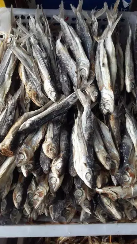 10 Important Health Benefits of Dry Fish