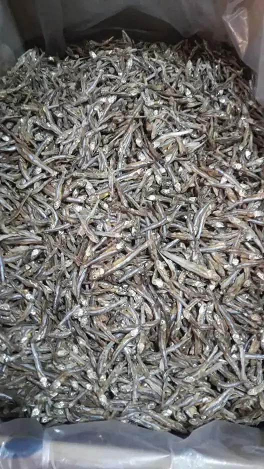 10 Important Health Benefits of Dry Fish