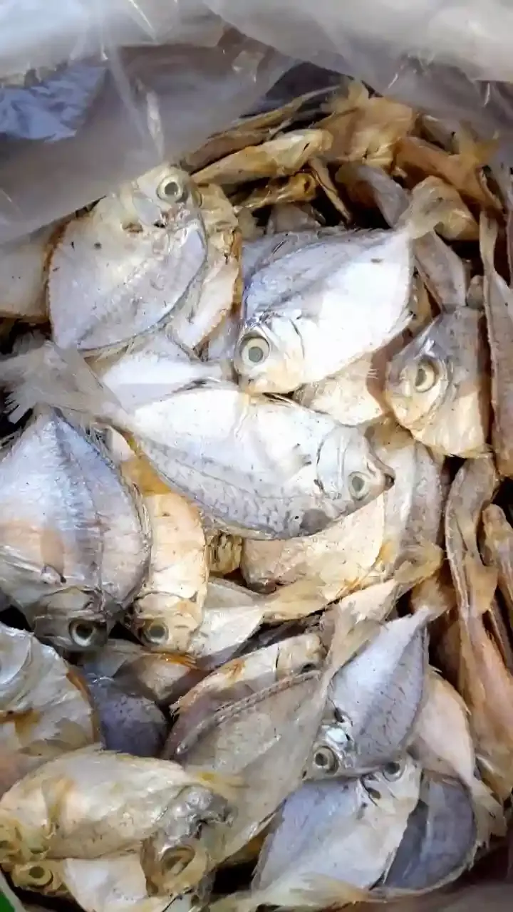 10 Important Health Benefits of Dry Fish