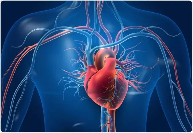 5 Warning Signs of a Weakening Heart 5 Warning Signs of a Weakening Heart