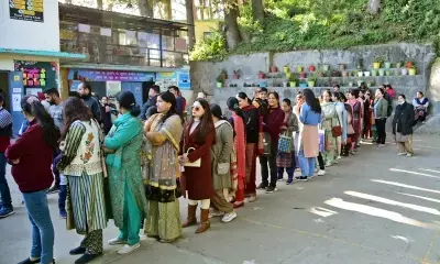 Three Himachal Assembly seats record 71 pc voting