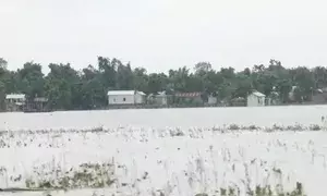 Assam flood situation sees further improvement, 14 lakh people still affected