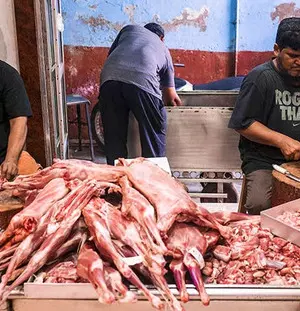 Rajasthan: Municipal Corporation seizes five meat shops