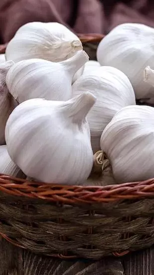 10 Important Health Benefits of Garlic