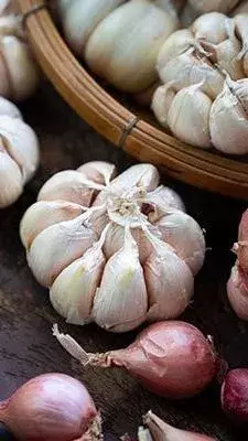 10 Important Health Benefits of Garlic