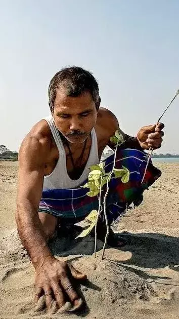 Forest Man of India: The Inspiring Journey of Jadav Payeng