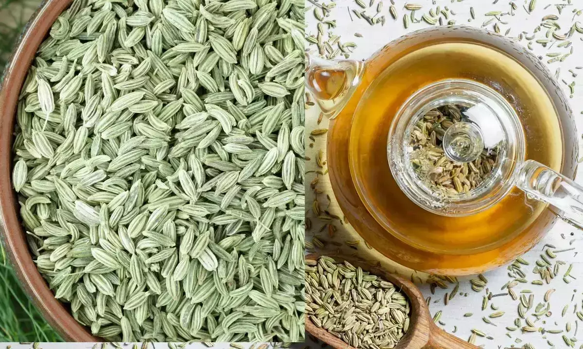 Health Benefits of Fennel Water: A Simple Yet Powerful Drink