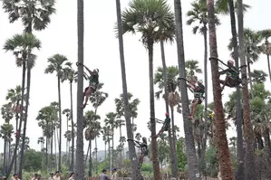 Telangana launches distribution of safety kits for toddy tappers